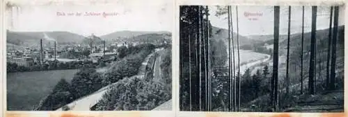 Set von 30 Bildern der Stadt Greiz in Thüringen im historischen Album