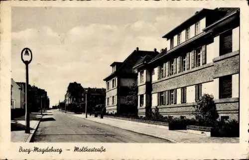 Ak Burg bei Magdeburg, Partie an der Moltkestraße, Wohngegend