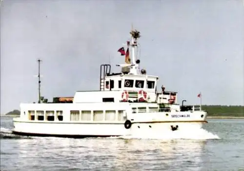 Ak MS Seeschwalbe, Weiße Flotte Stralsund