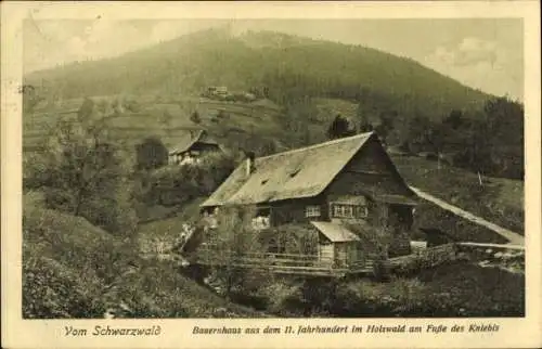 Ak Freudenstadt im Schwarzwald, Bauernhaus, Berge, Wald