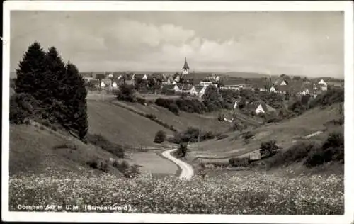 Ak Dornhan im Schwarzwald, Gesamtansicht