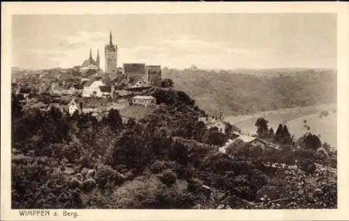 Ak Wimpfen am Berg Bad Wimpfen am Neckar, Panorama