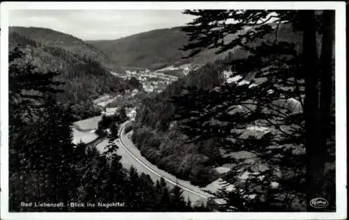 Ak Bad Liebenzell im Schwarzwald, Nagoldtal, Panorama