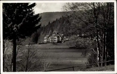 Ak Buhlbach Baiersbronn im Schwarzwald, Pension Sigwart