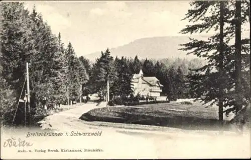 Ak Sasbachwalden im Schwarzwald, Breitenbrunnen