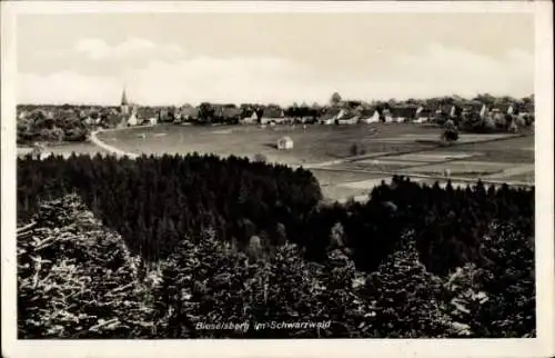 Ak Bieselsberg Schömberg im Nordschwarzwald, Panorama