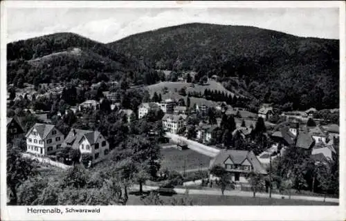 Ak Bad Herrenalb im Schwarzwald, Schwarzwald