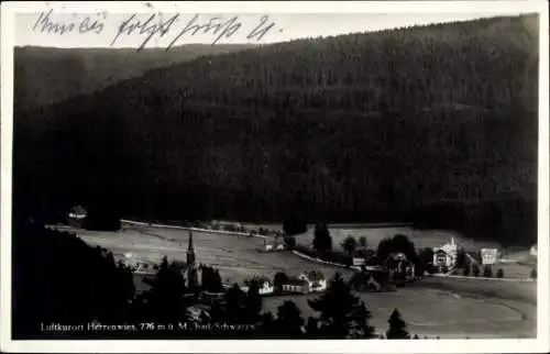 Ak Herrenwies Forbach im Schwarzwald Baden, Gesamtansicht