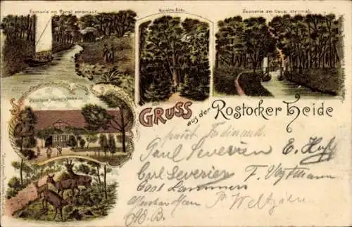 Litho Rostocker Heide Rostock Mecklenburg, Kanal, Eiche, Forsthaus