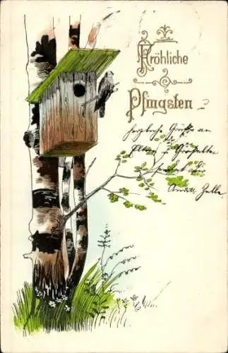 Präge Litho Glückwunsch Pfingsten, Vogelhäuschen, Birken, Vogel