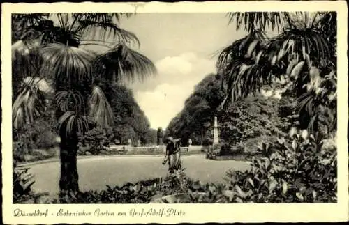 Ak Düsseldorf am Rhein, Botanischer Garten am Graf-Adolf-Platz