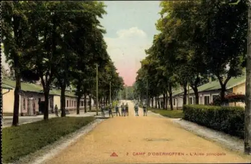 Ak Oberhoffen sur Moder Oberhofen Elsass Bas Rhin, Truppenübungsplatz, Allee