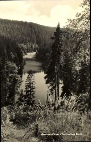 Ak Gernrode Quedlinburg im Harz, Heiliger Teich