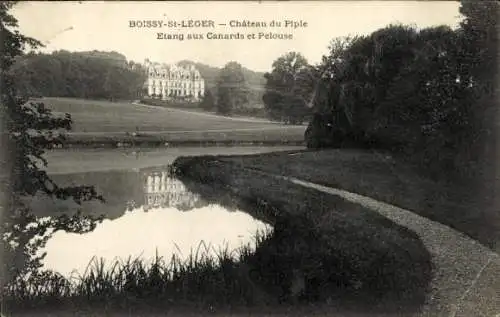 Ak Boissy Saint Leger Val de Marne, Chateau du Piple, Etang aux Canards et Pelouse