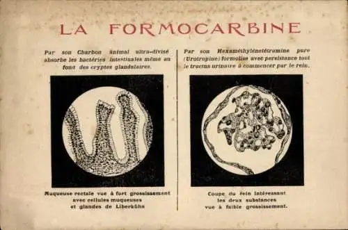 Ak Beauvais Oise, Laboratoire de Medecine Experimentale, Rue de Malherbe, Formocarbine