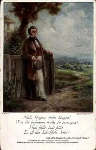 Künstler Ak Broch, A., Komponist Franz Schubert, Dreimäderlhaus