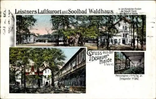 Ak Halle an der Saale, Dölauer Haide, Leistners Waldhaus, Soolbad