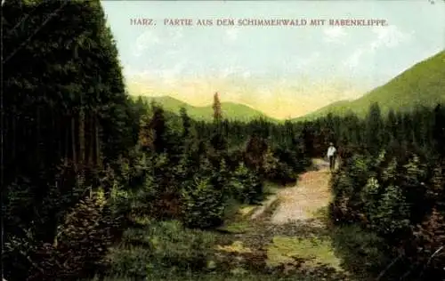 Ak Bad Harzburg am Harz, Schimmerwald, Rabenklippe