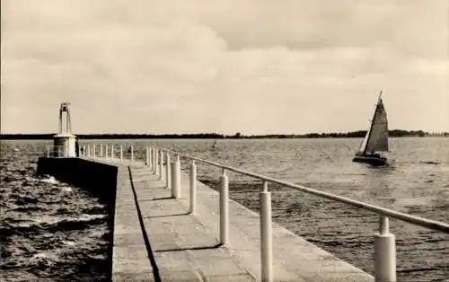 Ak Wieck Eldena Greifswald, Mole 4, Segelboot