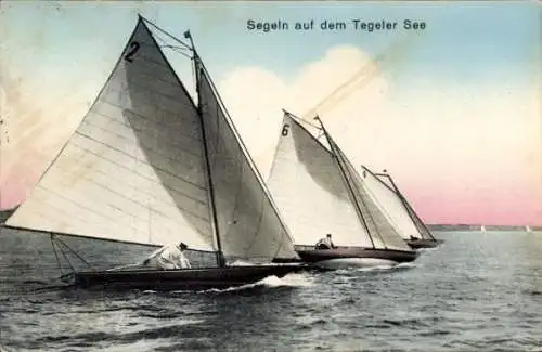 Ak Berlin Reinickendorf Tegel, Tegeler See, Segelboote