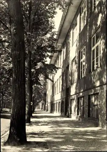 Foto Babelsberg Potsdam in Brandenburg, Straßenpartie