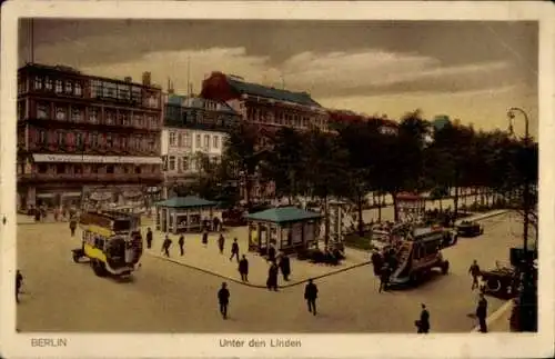 Ak Berlin Mitte, Unter den Linden, Busse