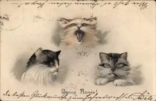 Litho Glückwunsch Neujahr, Katzen miauen, M. Munk 132