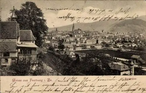 Ak Freiburg im Breisgau, Panorama