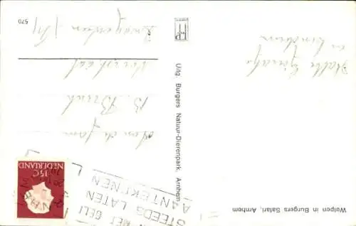 Ak Tierpark, Junge Löwen