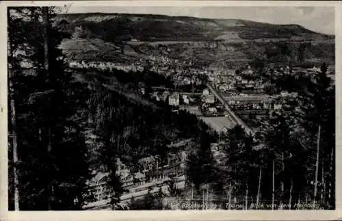 Ak Bad Blankenburg in Thüringen, Panorama