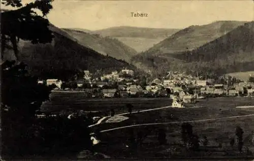 Ak Tabarz Thüringer Wald, Gesamtansicht