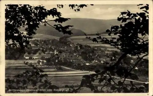 Ak Rottleberode Südharz, Blick vom Rabenskopf, Gesamtansicht