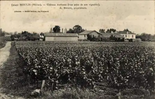 Ak Moulis en Médoc Gironde, Chateau Anthonie