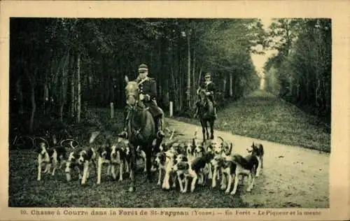 Ak Foret de St. Fargeau Yonne, Jagdgesellschaft, Hunde, Reiter