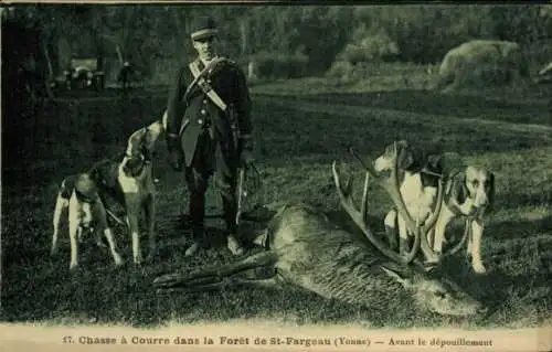 Ak Foret de St. Fargeau Yonne, Jagdszene, Hunde, erlegter Hirsch