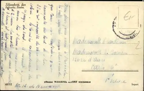 Ak Rättvik Schweden, Siljansborg, Panorama