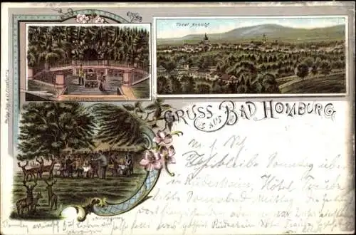 Litho Bad Homburg vor der Höhe Hessen, Totalansicht, Ludwigsbrunnen, Hirschgarten