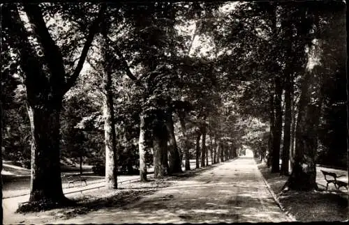 Ak Baden Baden am Schwarzwald, Lichtentaler Allee