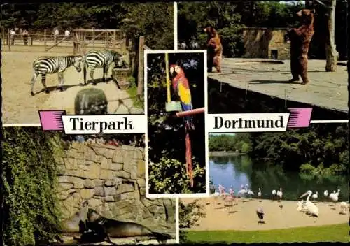 Ak Dortmund im Ruhrgebiet, Tierpark, Zebras, Braunbären, Seelöwe, Flamingos, Pelikan, Ara