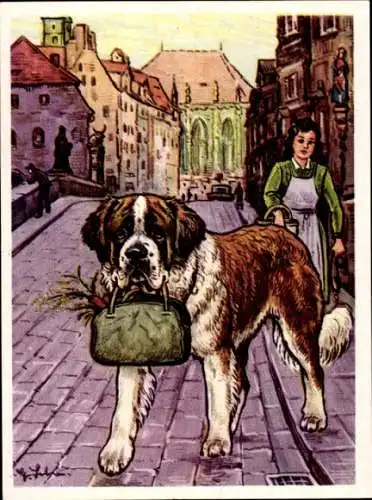 Sammel-Einzelbild Austria Bildwerk Kamerad Hund Serie I Bild 15, Der Bernhardiner