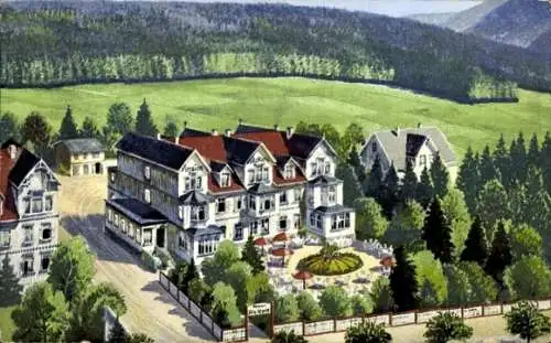 Ak Hahnenklee Bockswiese Goslar im Harz, Pension Villa Marie