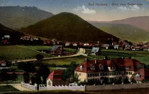 Ak Bad Harzburg am Harz, Blick vom Butterberg