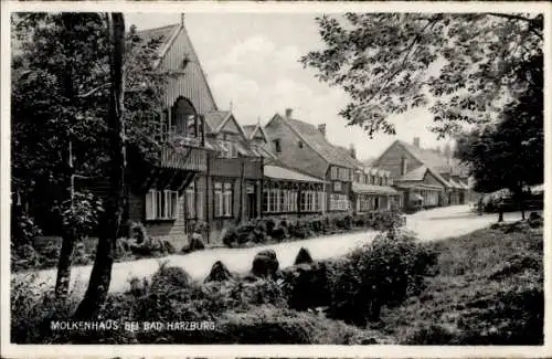 Ak Bad Harzburg am Harz, Molkenhaus