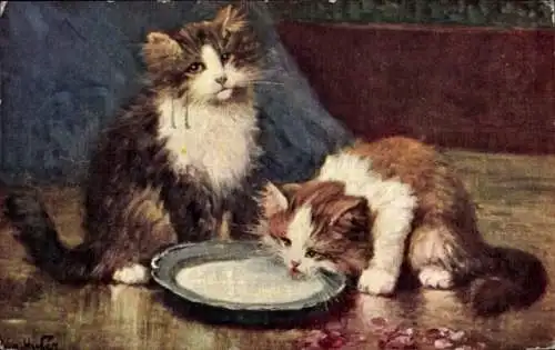 Künstler Ak Huber, Zwei Katzen an der Milchschüssel