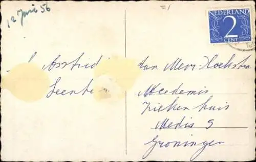 Ak Zwei junge Katzen, Tierporträt, Kätzchen