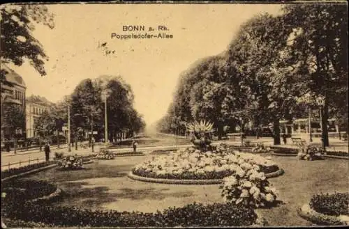 Ak Bonn am Rhein, Poppelsdorfer Allee