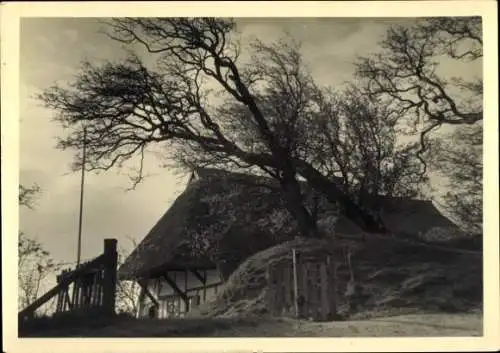 Ak Ostseebad Ahrenshoop Fischland, Reetdachhaus