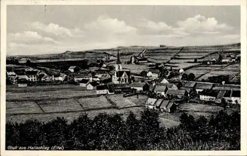 Ak Hallschlag in der Eifel, Gesamtansicht