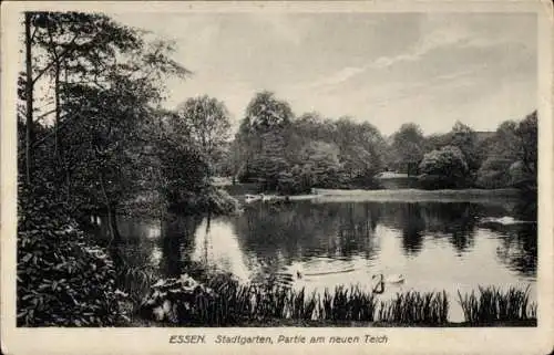 Ak Essen im Ruhrgebiet, Stadtgarten, neuer Teich