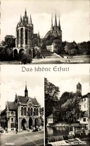 Ak Erfurt in Thüringen, Dom, Severikirche, Rathaus, Neue Mühle